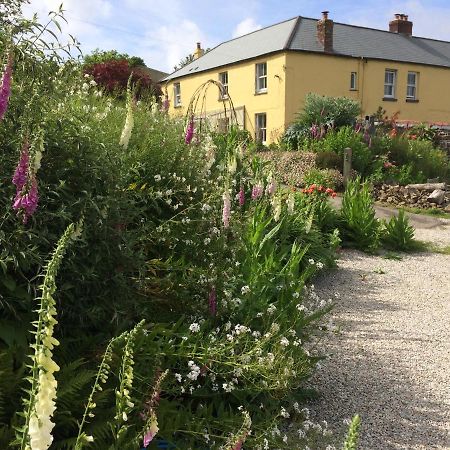 Frizenham Farmhouse Little Torrington Екстер'єр фото