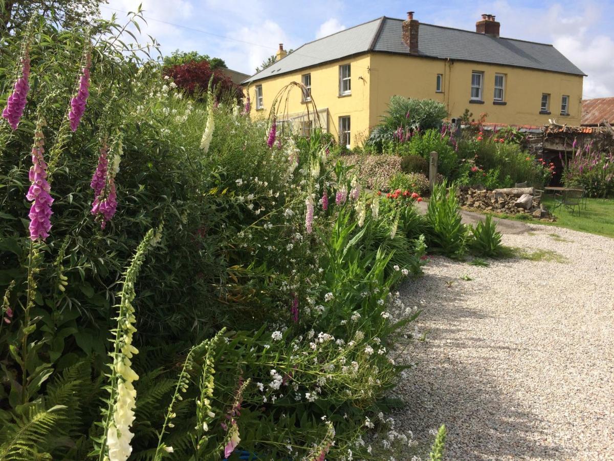 Frizenham Farmhouse Little Torrington Екстер'єр фото